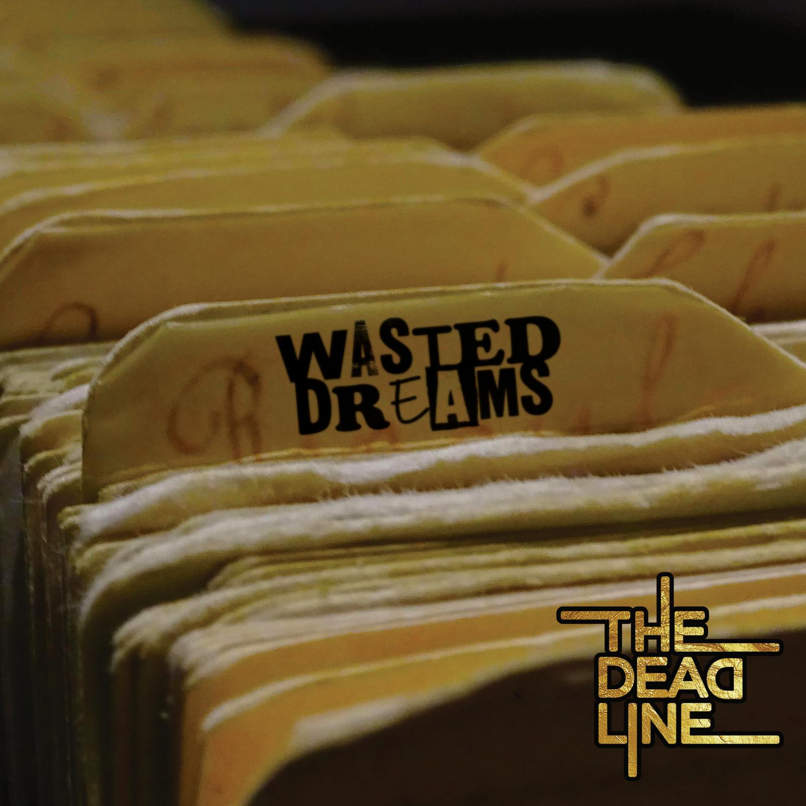 WAsTEd DrEAmS cover